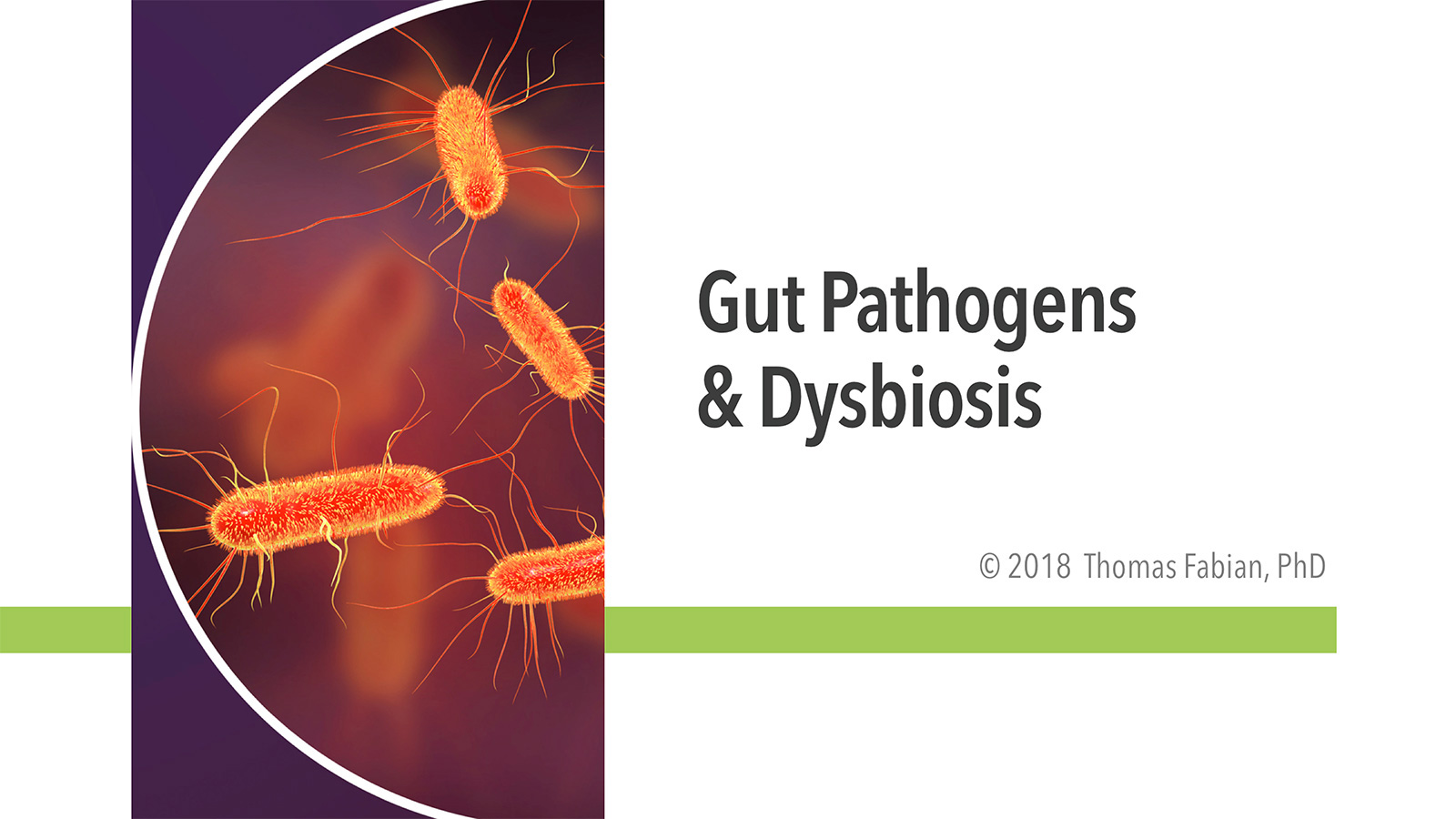 Gut Pathogens and Dysbiosis Course
