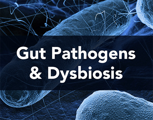 Gut Pathogens and Dysbiosis