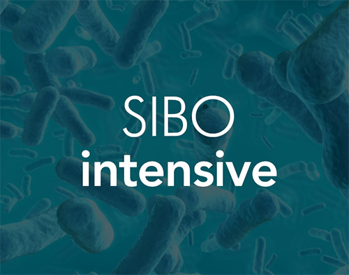 SIBO Intensive MasterClass